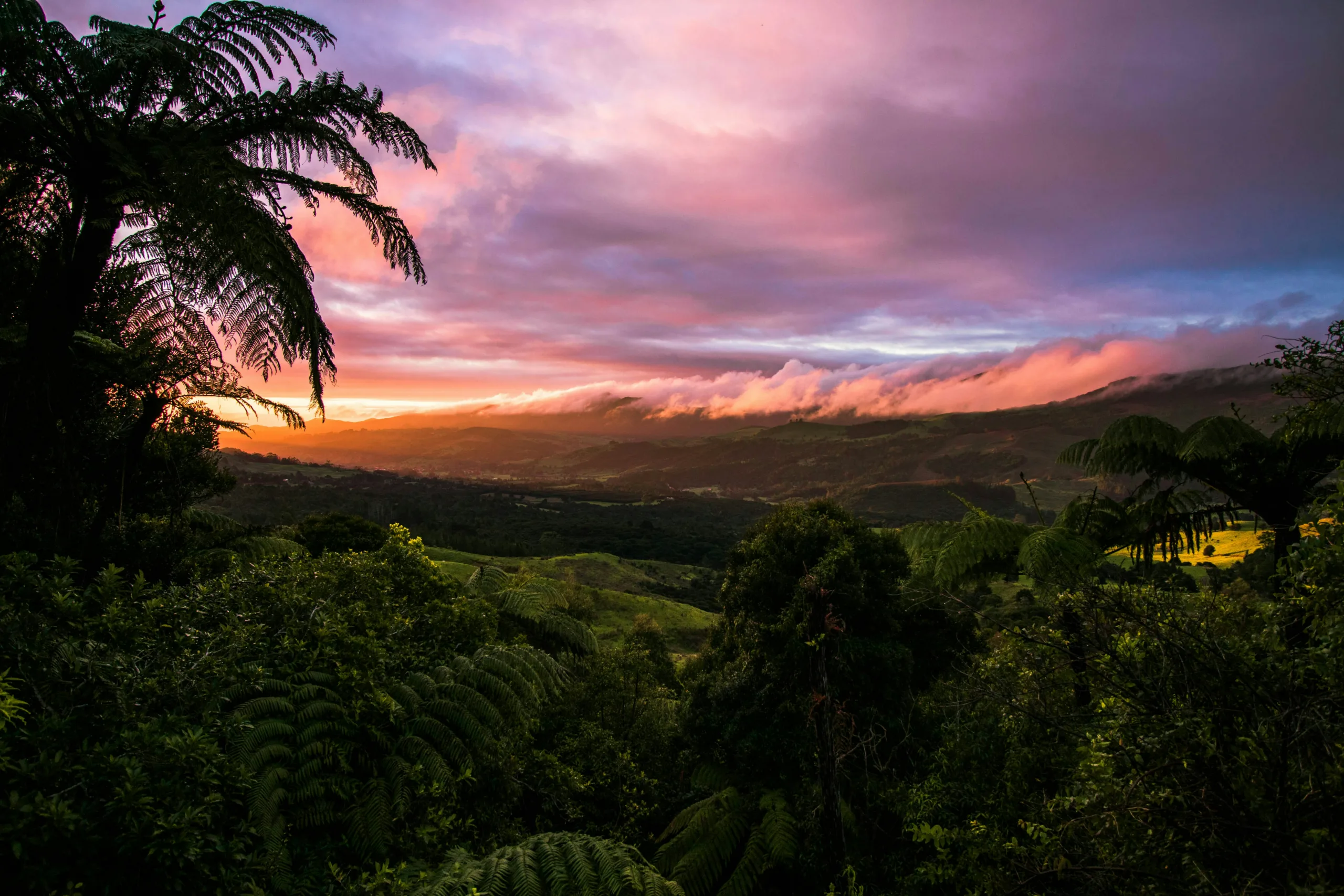 new zealand wather