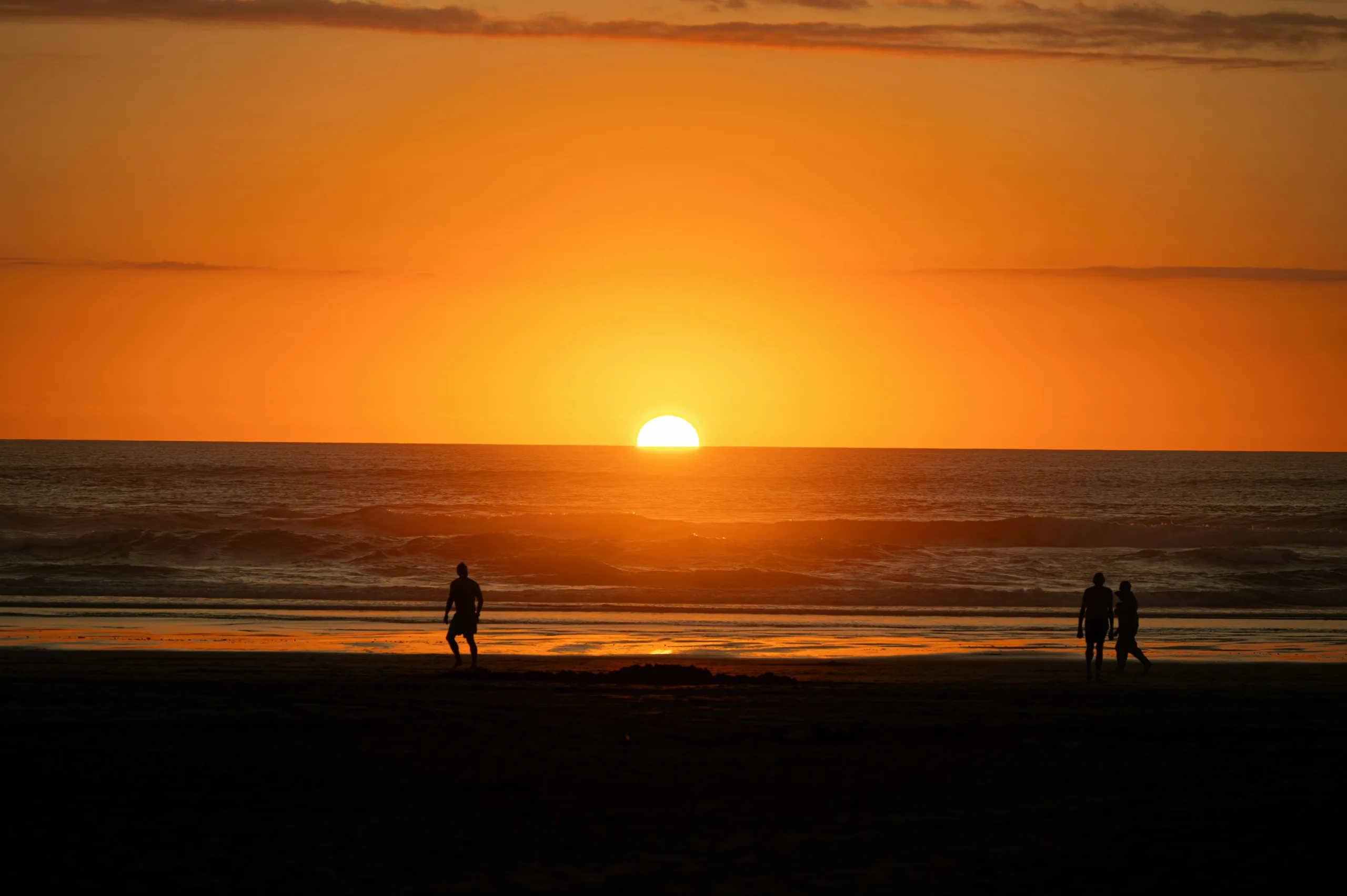 new zealand summer